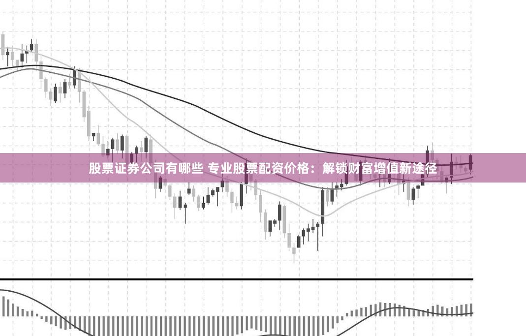 股票证券公司有哪些 专业股票配资价格：解锁财富增值新途径