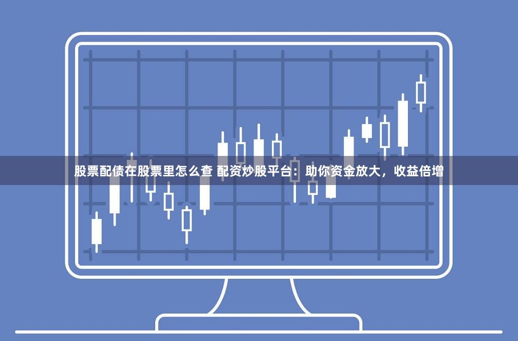 股票配债在股票里怎么查 配资炒股平台：助你资金放大，收益倍增