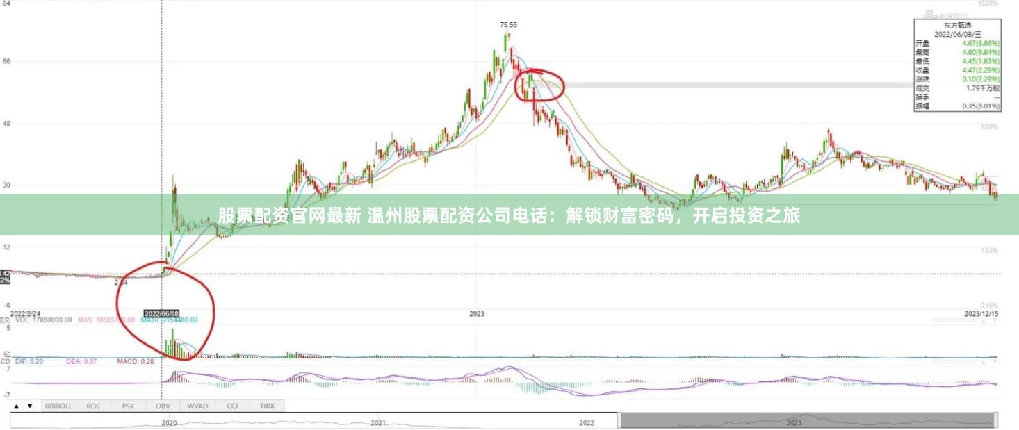 股票配资官网最新 温州股票配资公司电话：解锁财富密码，开启投资之旅