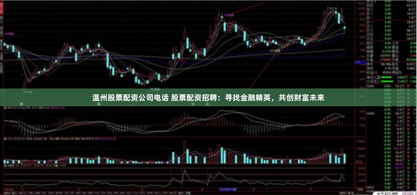 温州股票配资公司电话 股票配资招聘：寻找金融精英，共创财富未来